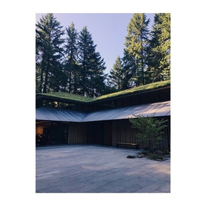 看黄色录像看护土姐姐日逼大片
