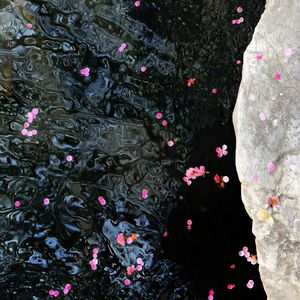 看黄色录像看护土姐姐日逼大片
